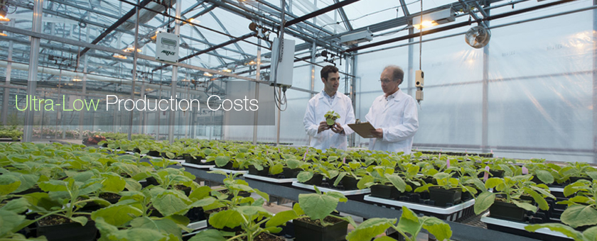 Plant Form: Ultra-low Production Costs