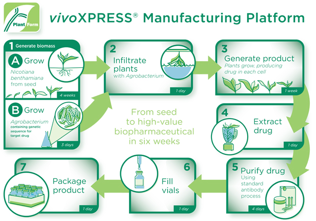 PlantForm Manufacturing Process Diagram